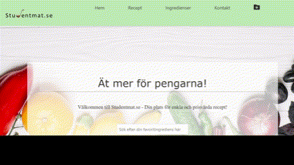 Studentmat.se website video