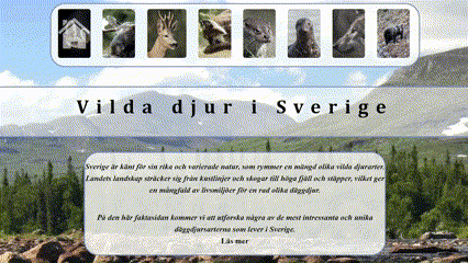 Video of website about the Swedish wildlife.